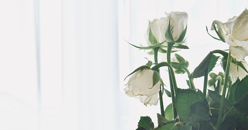 もう髪で悩まない 細い髪でもぺたんこにならない対策とおすすめ商品を紹介