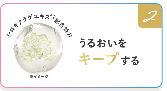 2 シロキクラゲエキス*2配合処方 *イメージ うるおいをキープする