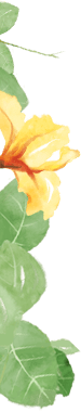 botanifique