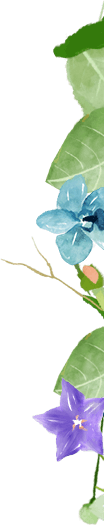 botanifique