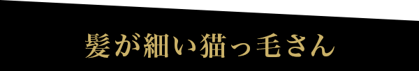 髪が細い猫っ毛さん