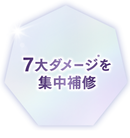 7大ダメージを集中補修
