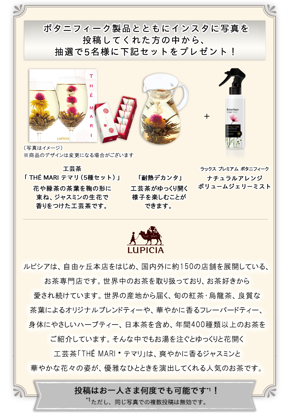 ボタニフィーク製品とともにインスタに写真を投稿してくれた方の中から、抽選で5名様に下記セットをプレゼント！