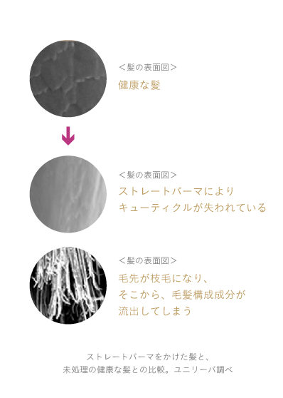 髪ダメージの原因 Lux ラックス オフィシャルサイト 髪ダメージの原因 Lux ラックス オフィシャルサイト